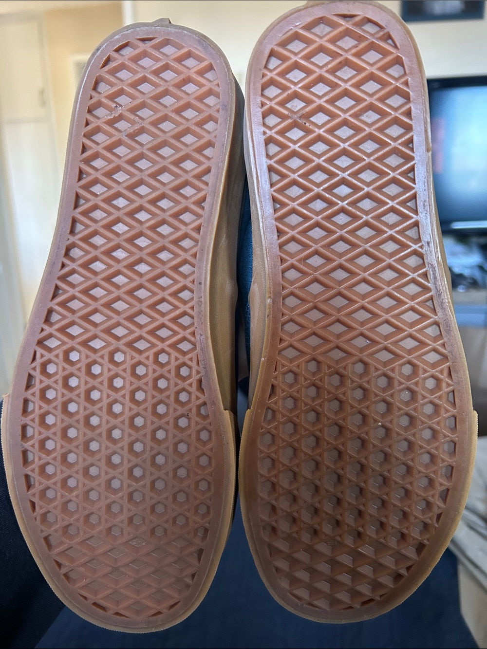 Vans Authentics in Teal Canvas with Gum Sole - Picture 2 of 3